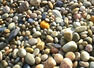 Can you find the hidden crab in this photo?