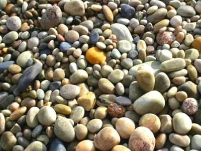 Optical Illusion: Only a sharp-eyed person can find the hidden crab in this photo