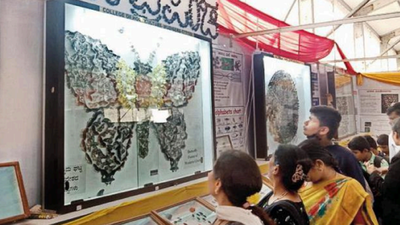 With over 2,000 specimens on display, 'World of Insects' proves a big draw in Karnataka