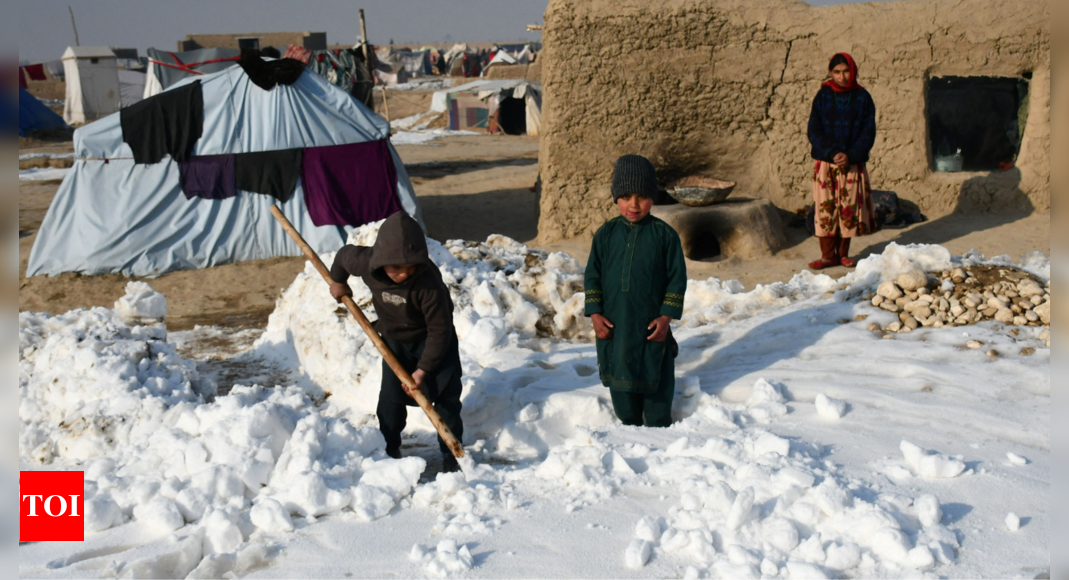 Kabul residents SOS as 78 die in severe cold wave in Afghanistan – Times of India