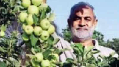 12 years on, Punjab’s 1st apple success story gets agriculture university's seal of approval
