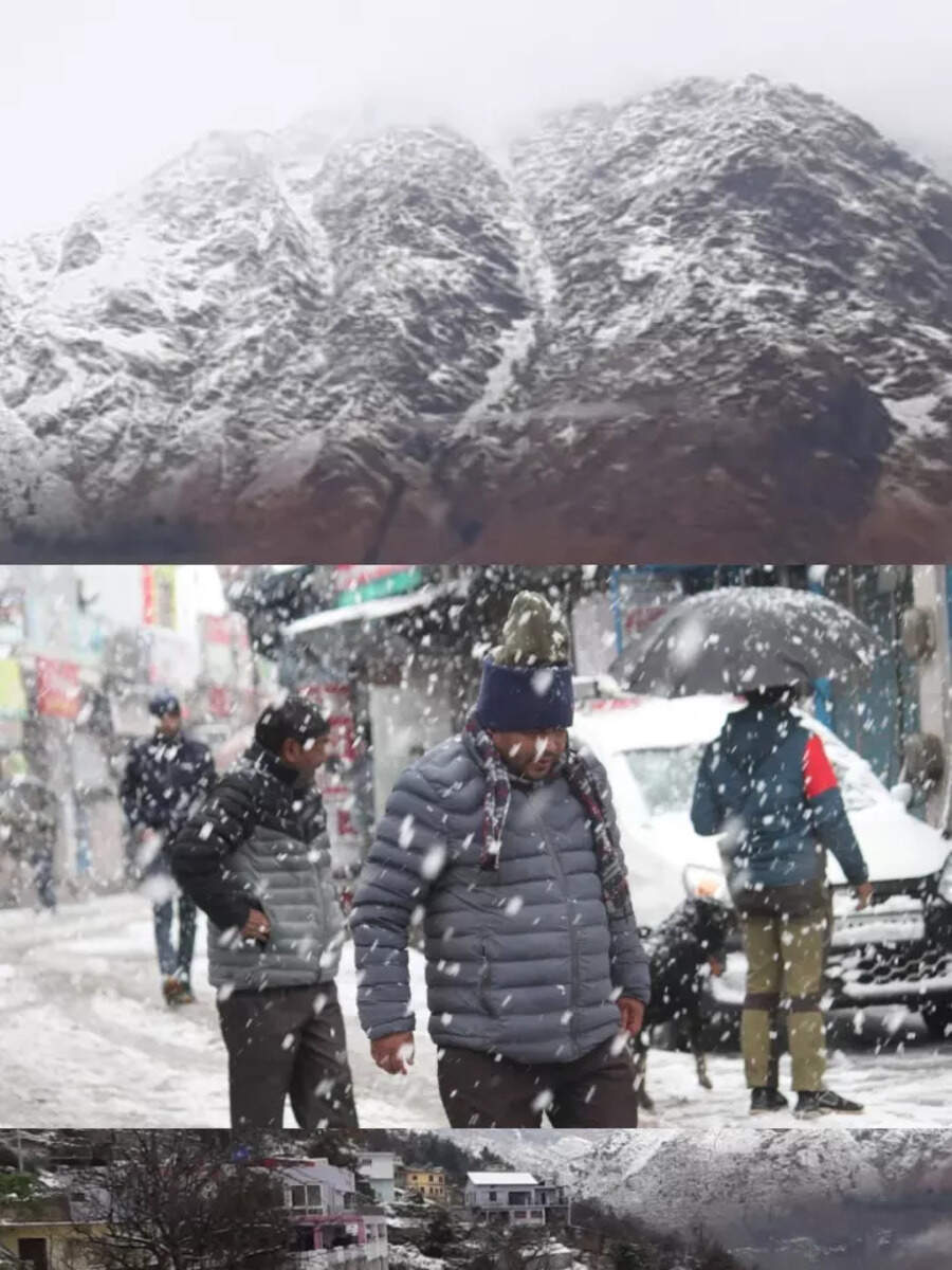 Snowfall, rain add to woes of Joshimath residents | Times of India