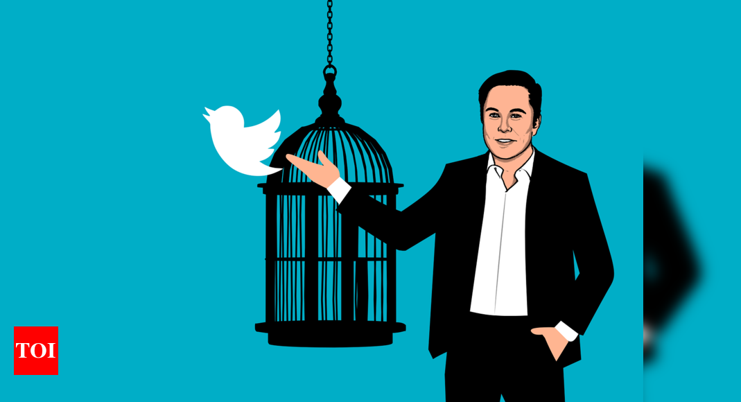 From 7,500 employees to just 1,300: The Elon Musk ‘effect’ at Twitter – Times of India