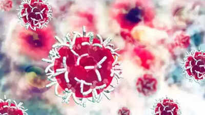 New protein target found which pancreatic cancer cells leverage to resist therapy: Study
