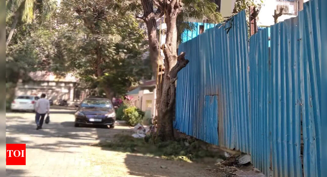 मुंबई: सोसाइटी परिसर के बाहर क्यों काटे जा रहे हैं पेड़;  कार्यकर्ता ने बीएमसी से पूछा |  मुंबई समाचार – टाइम्स ऑफ इंडिया