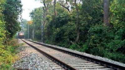 Bio-fencing to keep jumbos away from tracks in Terai