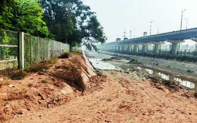 Fence along Sidhwan not high enough: Activist