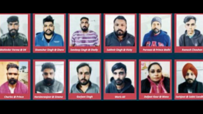 Social media aided gangsters find new recruits for module on targeted killings in Ludhiana