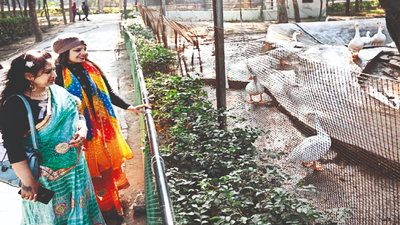 Ludhiana Zoo hopes to welcome bear, leopard and jackal pairs this year