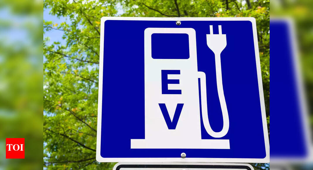 These startups set to play leading role in sustainable EV future ...