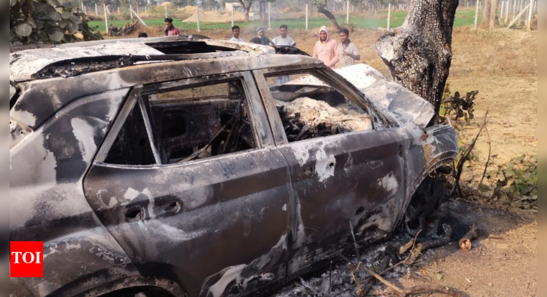 3 charred to death as car catches fire after ramming into tree in ...