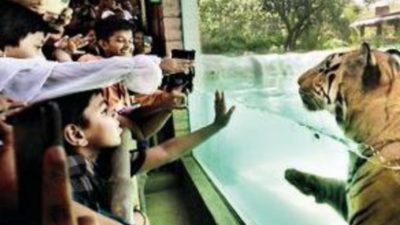 Maharashtra govt plans to dereserve plot marked for garden next to Mumbai's Byculla zoo, activists protest