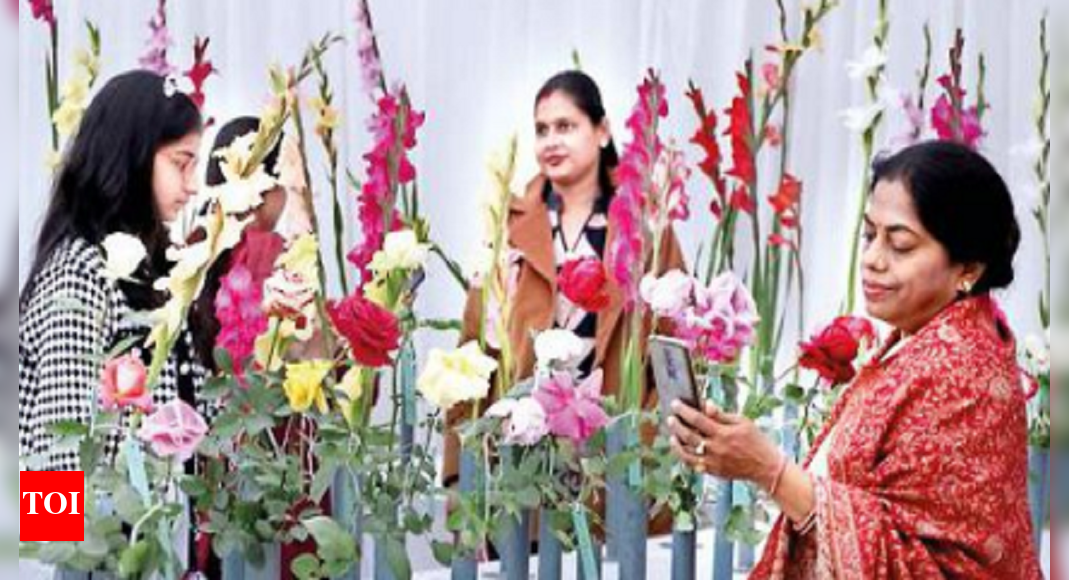 Lucknow set to turn beautiful with some flowers, help from NBRI Lucknow News Times of India