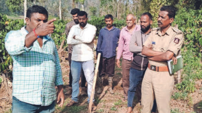 Two cows slaughtered at Karnataka's Kodagu estate; case booked