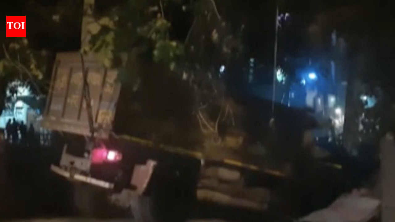 delhi accident: One dies after brick-laden truck overturns in Delhi’s ...