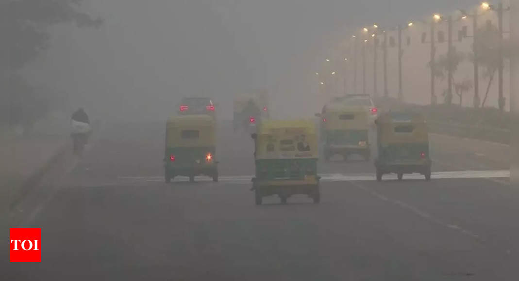दिल्ली में 4 साल में सबसे गर्म जनवरी का दिन, आज बारिश की संभावना |  दिल्ली समाचार – टाइम्स ऑफ इंडिया