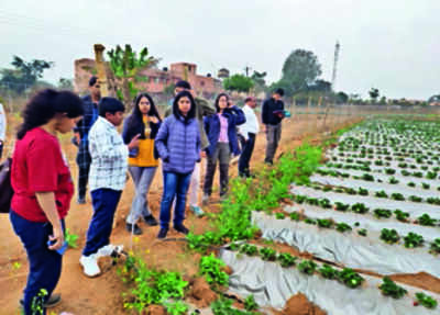 Young IAS officers witness devpt work in Kandhamal