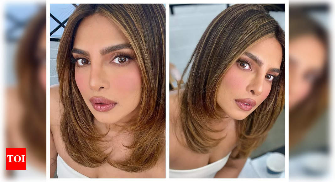 Priyanka Chopra Shares Ultra Glam Selfies On Instagram Fans Call Her