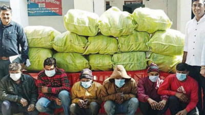 7 held with 500kg marijuana, cops say was for sale in Delhi-NCR