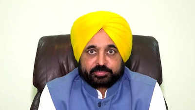 CM Bhagwant Mann invites industry captains to invest in Punjab