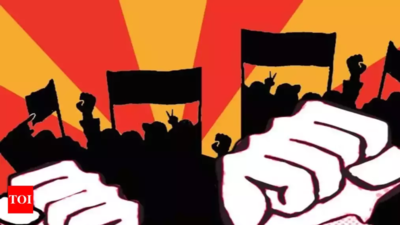 Students withdraw strike in Kerala's KR Narayanan institute