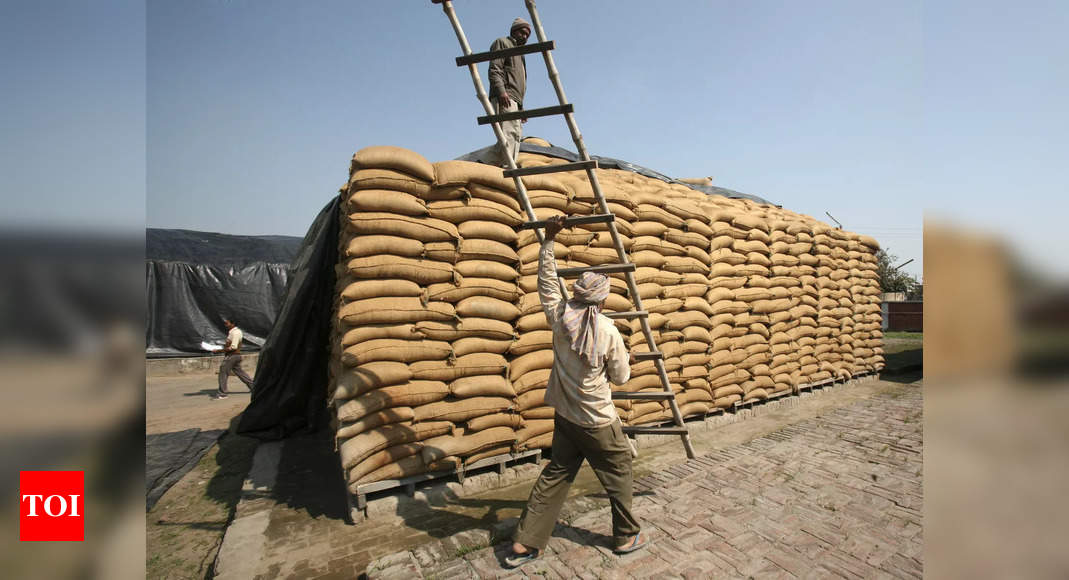 Government won’t lift curbs on wheat export before next crop