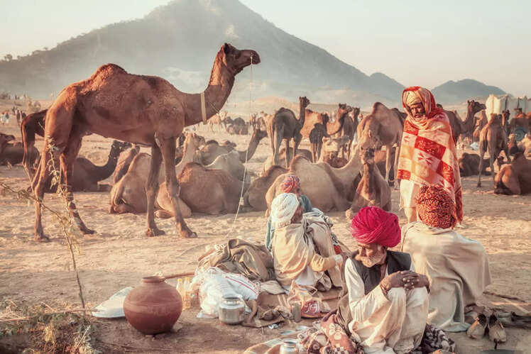 Postcards from Pushkar Camel Fair 