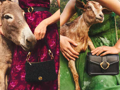 Indian designer launches vegan luxury bags - Times of India