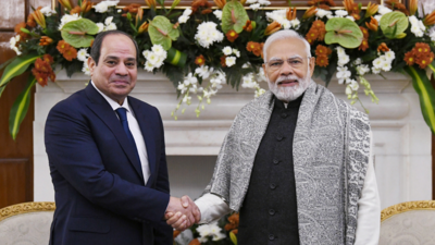Modi, El-Sisi discuss defence, food security; Egypt backs India on cross-border terrorism