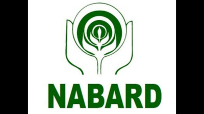 Uttar Pradesh's credit potential rises by 8%: NABARD