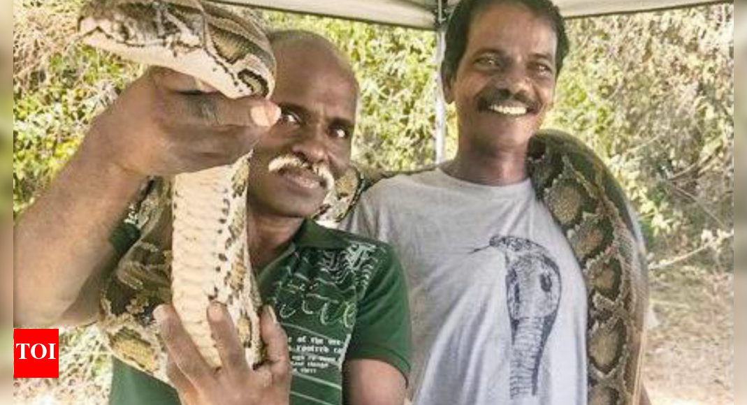 Tamil Snake catchers, retired librarian among Tamil Nadu Padma