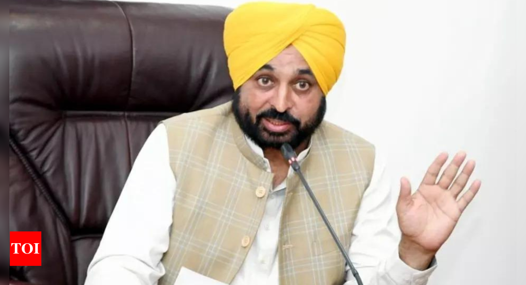 'Punjab Cannot Be Overlooked': Bhagwant Mann Slams Centre For Not ...