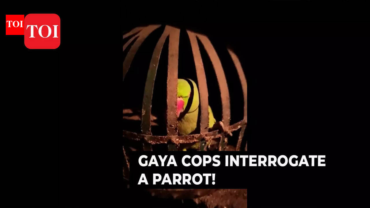 To trace liquor mafia, Gaya police interrogated a parrot