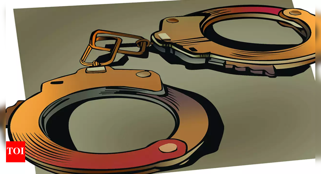 हैदराबाद में 4 गिरफ्तार, चोरी की 12 बाइकें बरामद |  हैदराबाद समाचार – टाइम्स ऑफ इंडिया