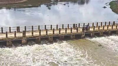 CRZ nod for desilting, widening Adyar river