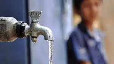 30% villages have acute water shortage, says Rajendra Singh in Karnataka