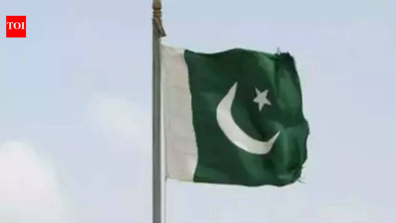 Pakistani rupee fall slows as PM Sharif hopes for IMF funds - The Times ...