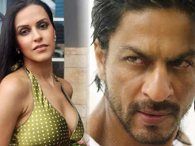 Neha: Either sex sells or Shah Rukh Khan