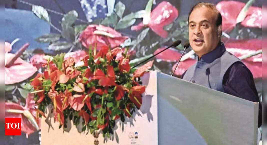 हिमंत ने महिलाओं से 22-30 साल के बीच मातृत्व प्राप्त करने का आग्रह किया |  गुवाहाटी समाचार – टाइम्स ऑफ इंडिया