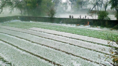 Rain, hailstorm lash Rajasthan, bring temperature down