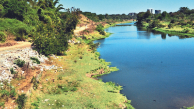Andhra Pradesh objects to Telangana's project on Godavari river