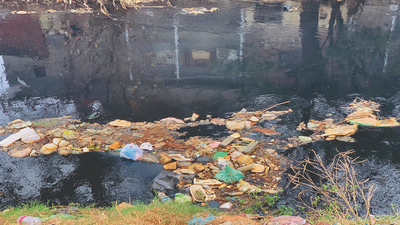 Black water still entering Buddha Nullah; activists blame dyers in Ludhiana