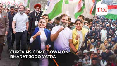 Image Rahul Gandhi image beautiful image beautiful image beautiful - Undertook Yatra not for self or Congress but for people: Rahul ...