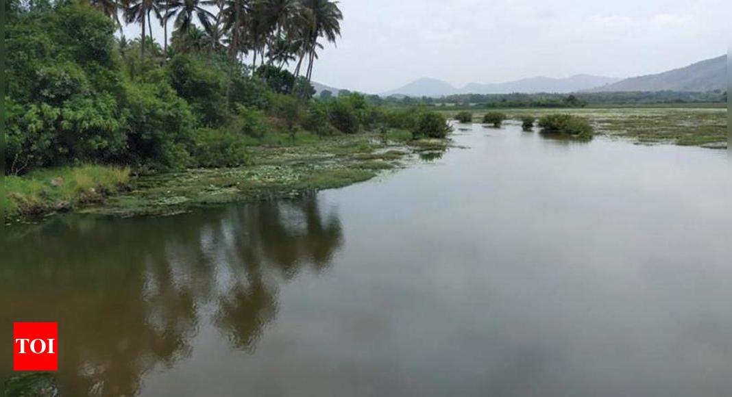 Nanda Lake To Take Centrestage As ‘save Wetlands Campaign Launches On Feb 4 Goa News Times 5193