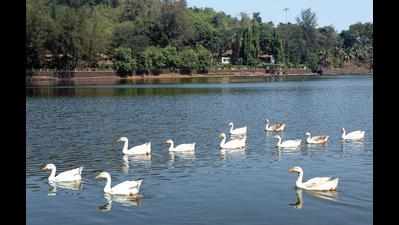 Soon, lake mgmt panels for every wetland in state