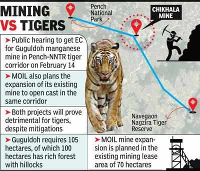 Moil plans Chikhla mines expansion in tiger corridor | Nagpur News ...