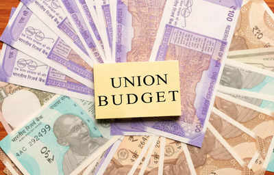 Tax cuts, factory incentives: What to watch for in Union Budget 2023