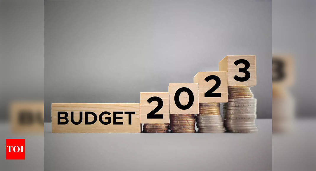 Budget 2023: Wishlist of top tech execs for hardware, cybersecurity and electronics industry – Times of India