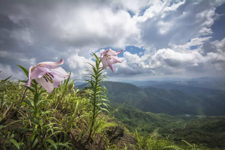 Shirui Hill, Ukhrul