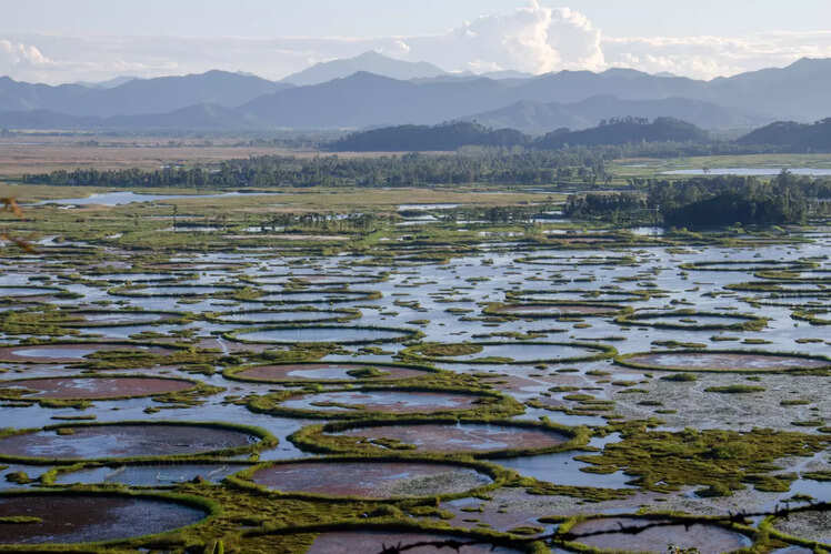 Loktak Lake, Imphal